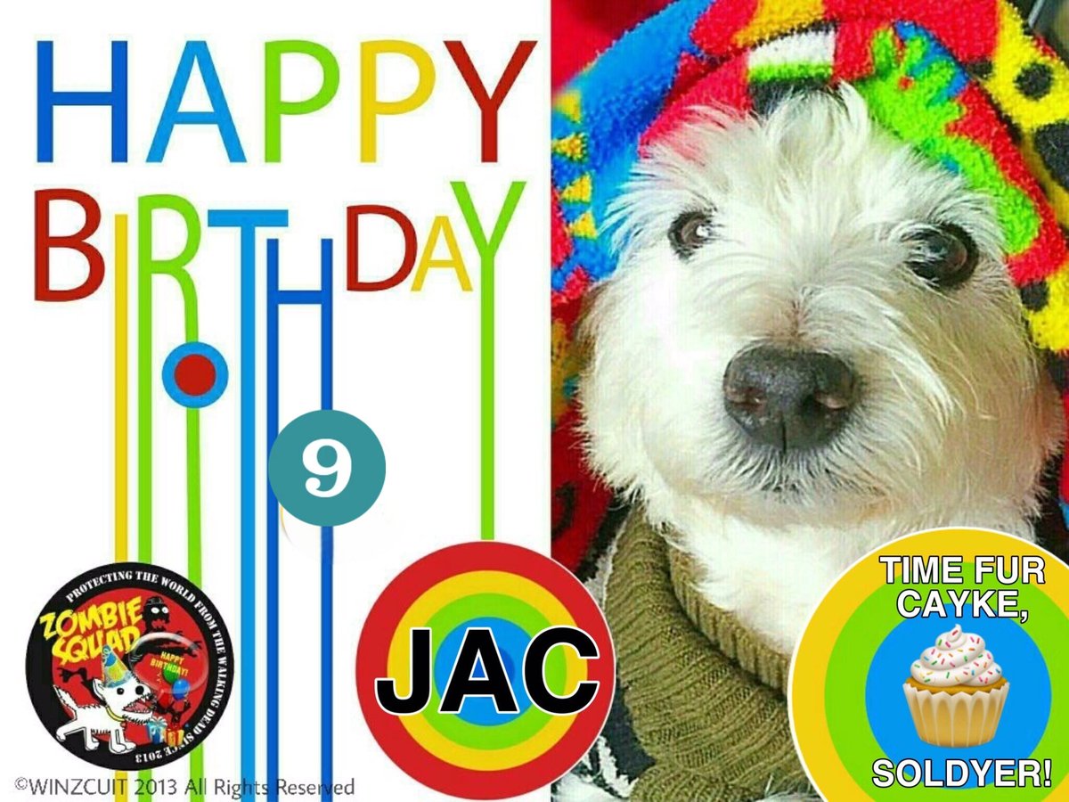 🎂Wishing a very 🎁HAPPY 9th BIRTHDAY🎉 to our pawsome pal, JAC from Leada Lord Billy & your ZombieSquad pals. We hope your special day is full of presents, belly rubs & cayke, soldyer. RaaAAA!! ❤️💛🎂🎁🎈🎉 @mrjacstorey @ZSBirthday #ZSHQ