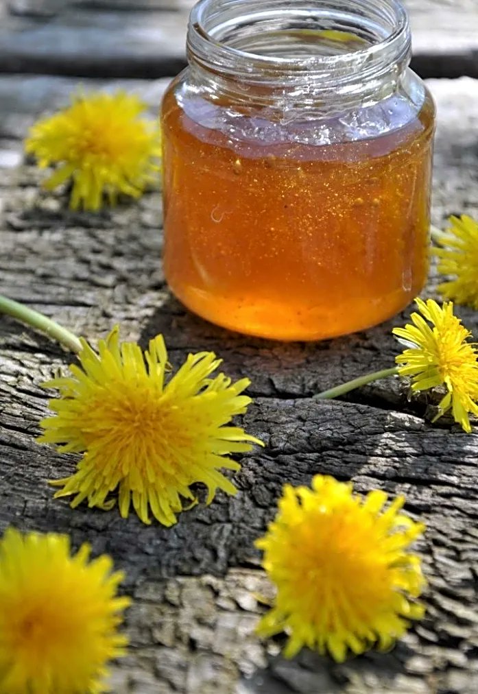 maduniverset's tweet photo. Kan mælkebøtter bruges til en lækker marmelade? Ja 😋 ☀️ 

Fra frodig grøn plæne til fortryllende marmelade 

Få opskriften her: https://t.co/rnSAAfrIsu

#mælkebøttemagi #hjemmelavet #marmelade #Maduniverset #sommer #have #sanke #mælkebøtte #opskrifter https://t.co/yBJL8s83Ds