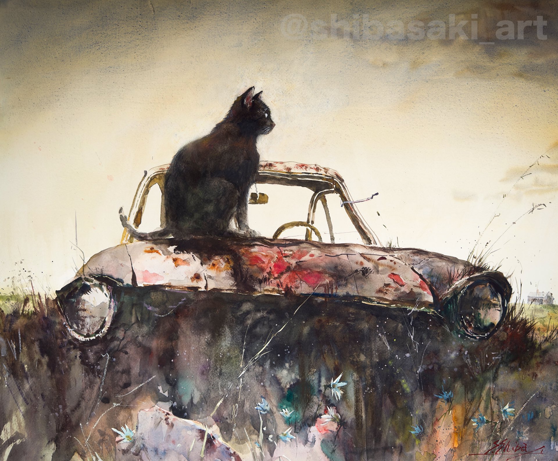 Watercolor by Shibasaki🎨柴崎春通 on X: 