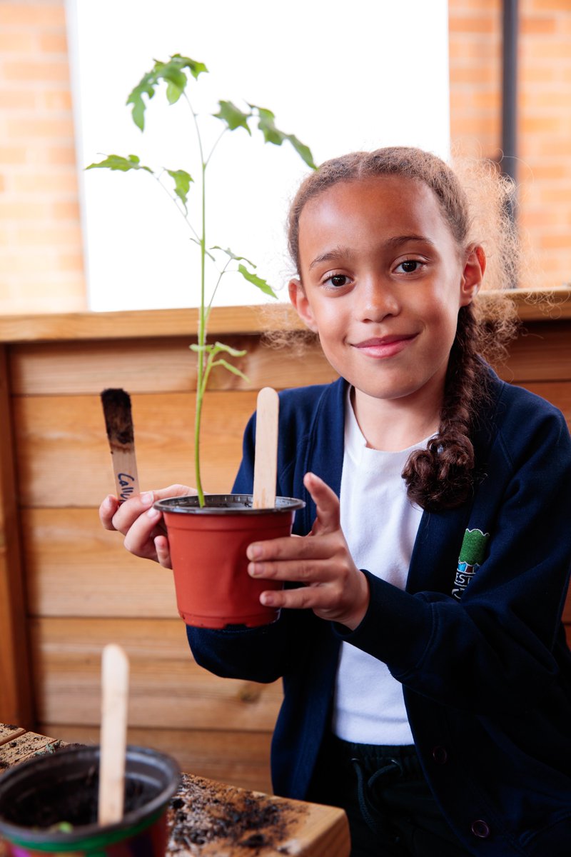 #GrowingToLove ...Tomatoes has officially launched! 21,000 kids across the nation are taking part, growing their own tomatoes with help from Sam Nixon, Chris Collins and @shaunthesheep - find out more: vegpower.org.uk/growing-to-lov…