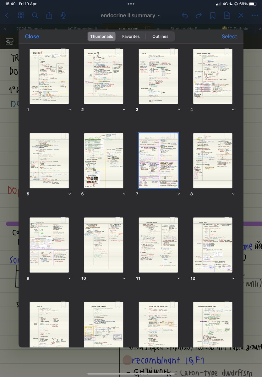 it’s pie ⸱̼ ᵕ ⸱̼ ᷅ ♡̷ tweet media