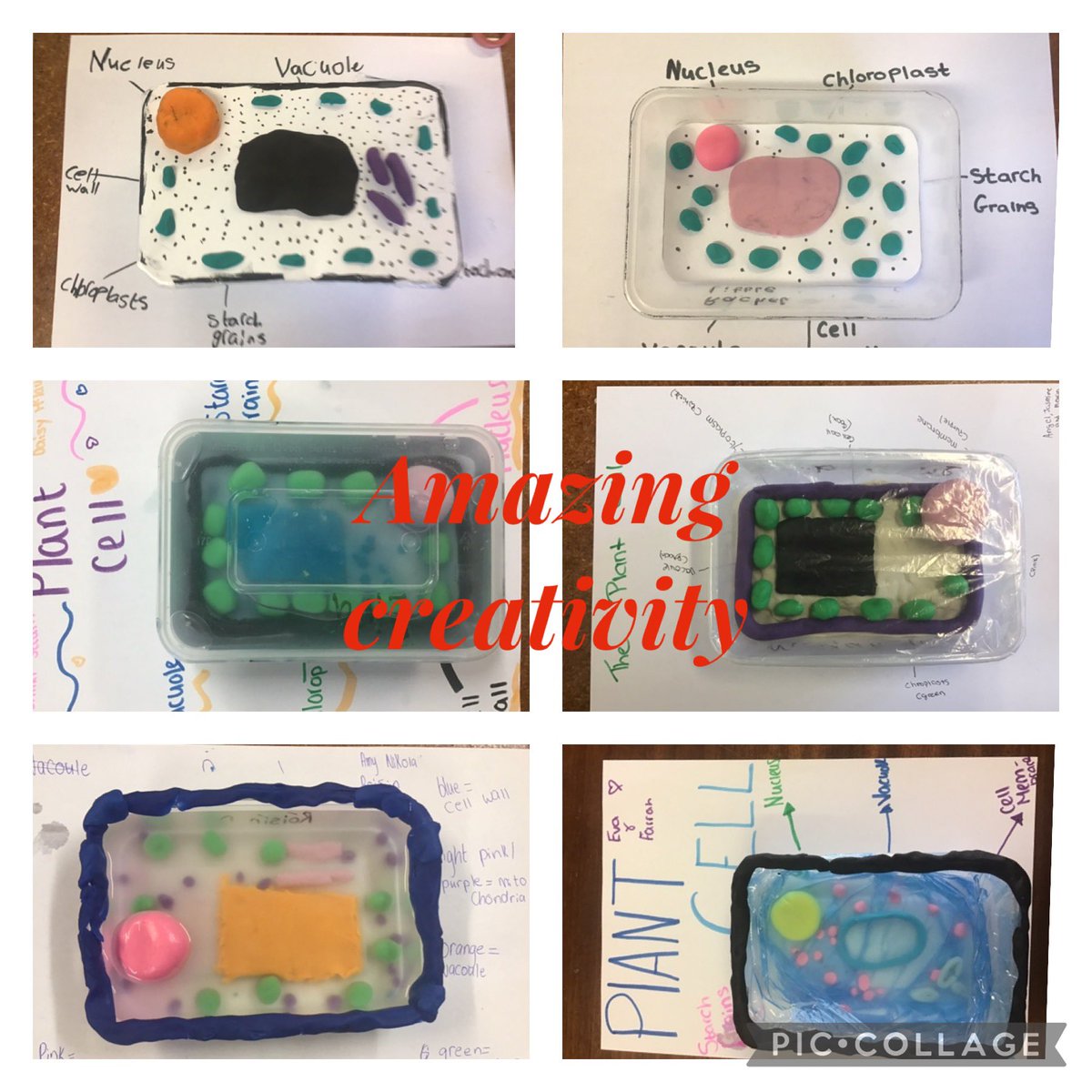 StCatsScience's tweet photo. Fantastic creativity shown by 9B and 9T in their superb models. So good you might want to take a cellfie with them……@stcatherines247 https://t.co/1Ke5DqO2iG