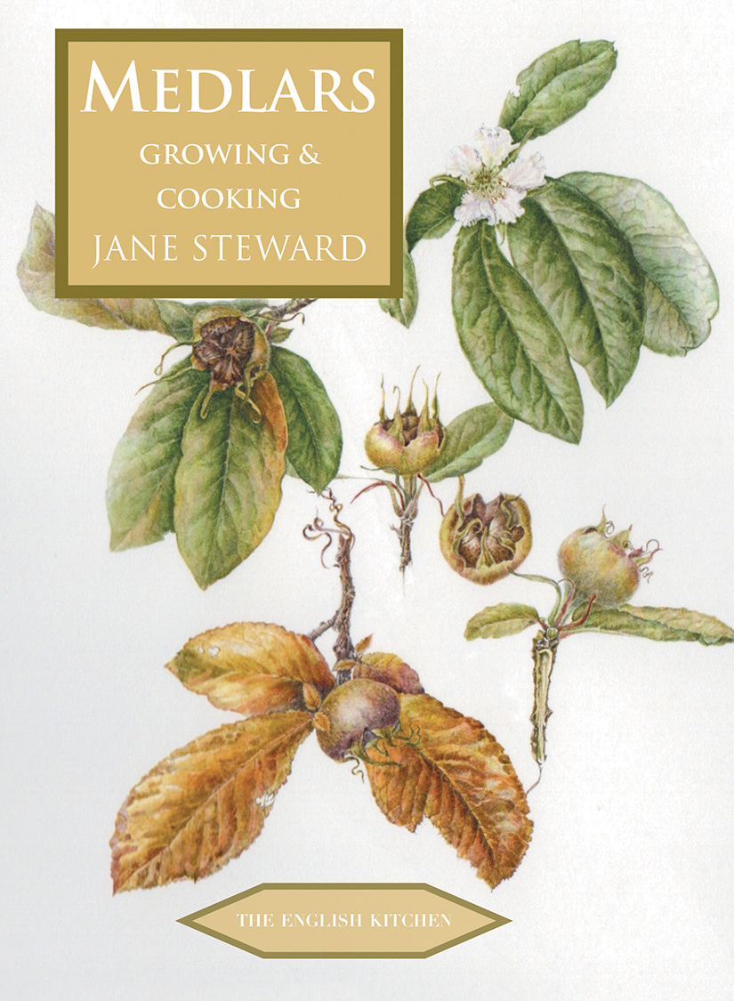 ‘It’s a life-changer for medlar enthusiasts!  I recommend it as a perfect read which will add to your gardening pleasure, as it has to mine.’
Rosemary Fitzgerald, Hardy Plant Brochure

Order
bit.ly/3W25A8D

shortlisted Fortnum & Mason Food and Drink Awards 2024!

#medlar