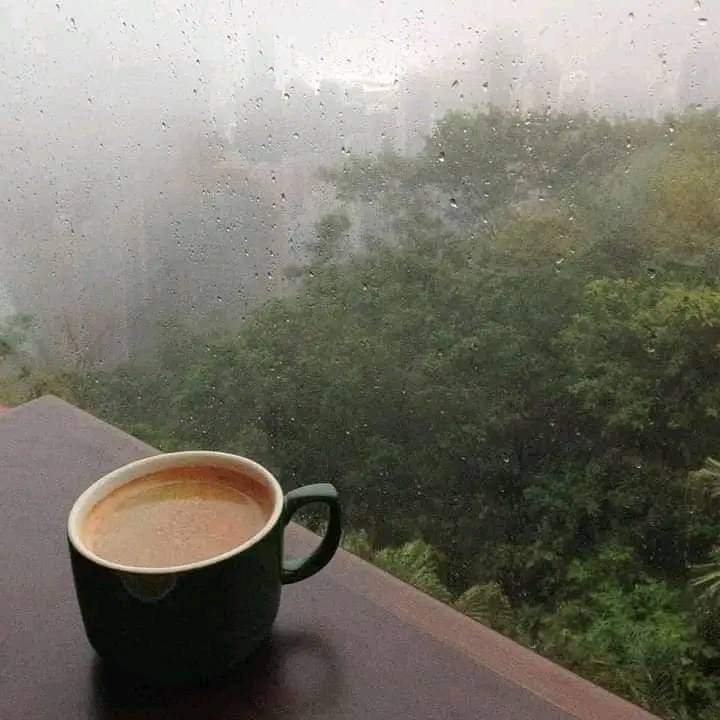یہ بارش کا موسم 
یہ ٹھنڈی ہوائیں 
 "اگست کی خوشبو
سنہری یادیں ہوا کی سنسناہٹ 
وہ پتوں کا جھومنا 
کھڑکی پہ دستک دیتی ہوئی
 بارش کی بوندیں
اور شاعری
 تم اور میں  ..!!
#gntm #DubaiFlooding #Dubai