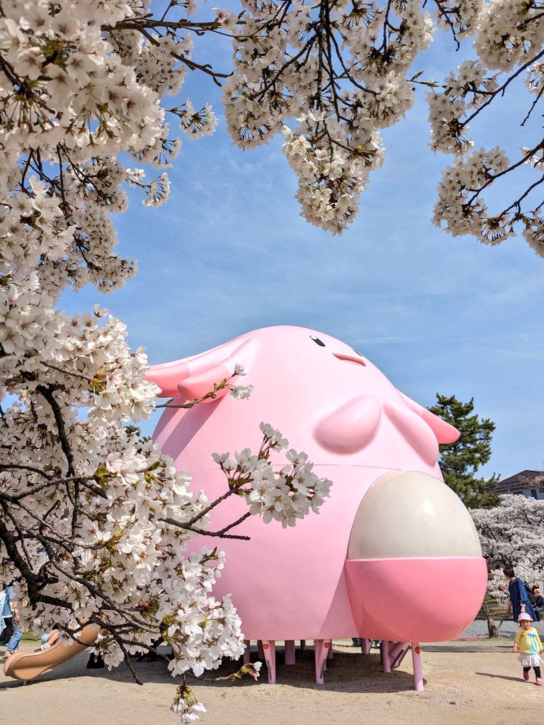 開成山公園のラッキー、桜に見とれてる感じがすごくよかった。

#ラッキー #ポケモン
#開成山公園 #郡山市 #福島県