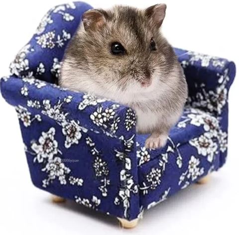 Give your furry friend the VIP treatment with our Cozy Mini Sofa Chair! Perfect for small critters and hamsters 🐹✨ 

Shop Now!!!  furryfriendfiesta.com/shop/cozy-mini…

#PetComfort #TinyLuxury #PetFurniture #TinyTreats #CozyCorners #FurryComforts #MiniSofaBed