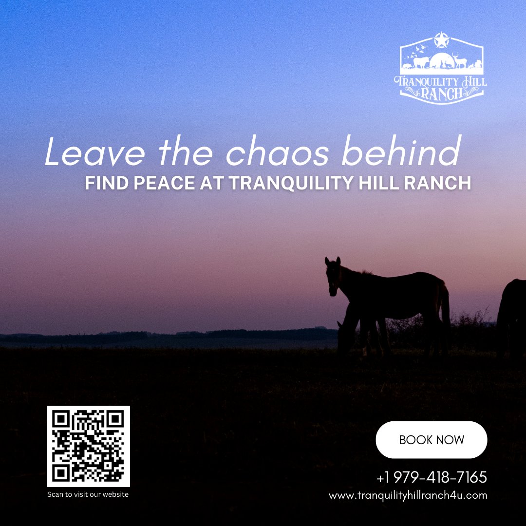 Thillranch4u's tweet photo. Wake up to the sounds of nature and the scent of fresh air at Tranquility Hill Ranch. 🌅 Your ultimate escape awaits. #WakeUpToNature #FreshAir #TranquilMorning https://t.co/jfHRALTOL7