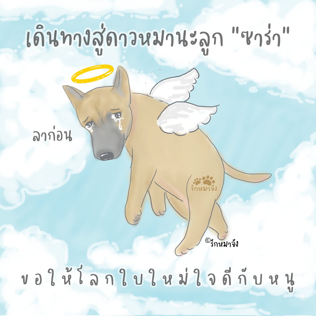 rakmahjung's tweet photo. ลาก่อนนะ "ซาร่า"
ขอให้โลกใบใหม่ใจดีกับหนู
#รักหมาจัง #ซาร่า https://t.co/Gvn2kWNcQ8