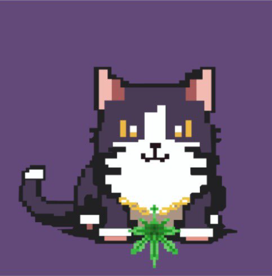 AiMeow - AI meme with erc404 nft (@aimeow404) on Twitter photo Hi, <a href="/jessepollak/">jesse.base.eth</a> <a href="/sarahzorah/">Sarah Wolf</a> <a href="/Toshi_base/">TOSHI</a> <a href="/hey_shells/">Shelley.base.eth</a> <a href="/0xAneri/">aneri.base.eth</a> <a href="/KeyboardCatBase/">KEYCAT</a>
Do you based that more cats should be in the <a href="/base/">Base</a>? Hi, <a href="/jessepollak/">jesse.base.eth</a> <a href="/sarahzorah/">Sarah Wolf</a> <a href="/Toshi_base/">TOSHI</a> <a href="/hey_shells/">Shelley.base.eth</a> <a href="/0xAneri/">aneri.base.eth</a> <a href="/KeyboardCatBase/">KEYCAT</a>
Do you based that more cats should be in the <a href="/base/">Base</a>?