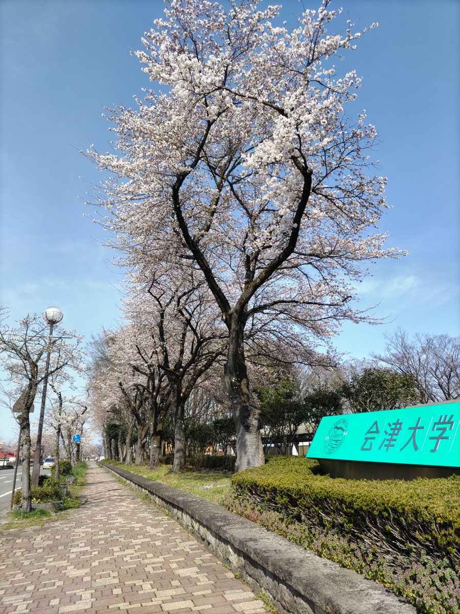 Aizuweb3's tweet photo. みなさん、こんにちは☀
勉強会の告知です！

日時：4月20日(土) 9:00~12:00
場所：北ラウンジ
内容：
・自己紹介と小話
・程教授からの最近の技術の動向など
・現メンバーから勉強会の案内と簡単なデモ
・外部講師の講演
・質疑応答

上記の予定になります！
時間が合ったらぜひ来てください😊✨ https://t.co/8ciUMriBke