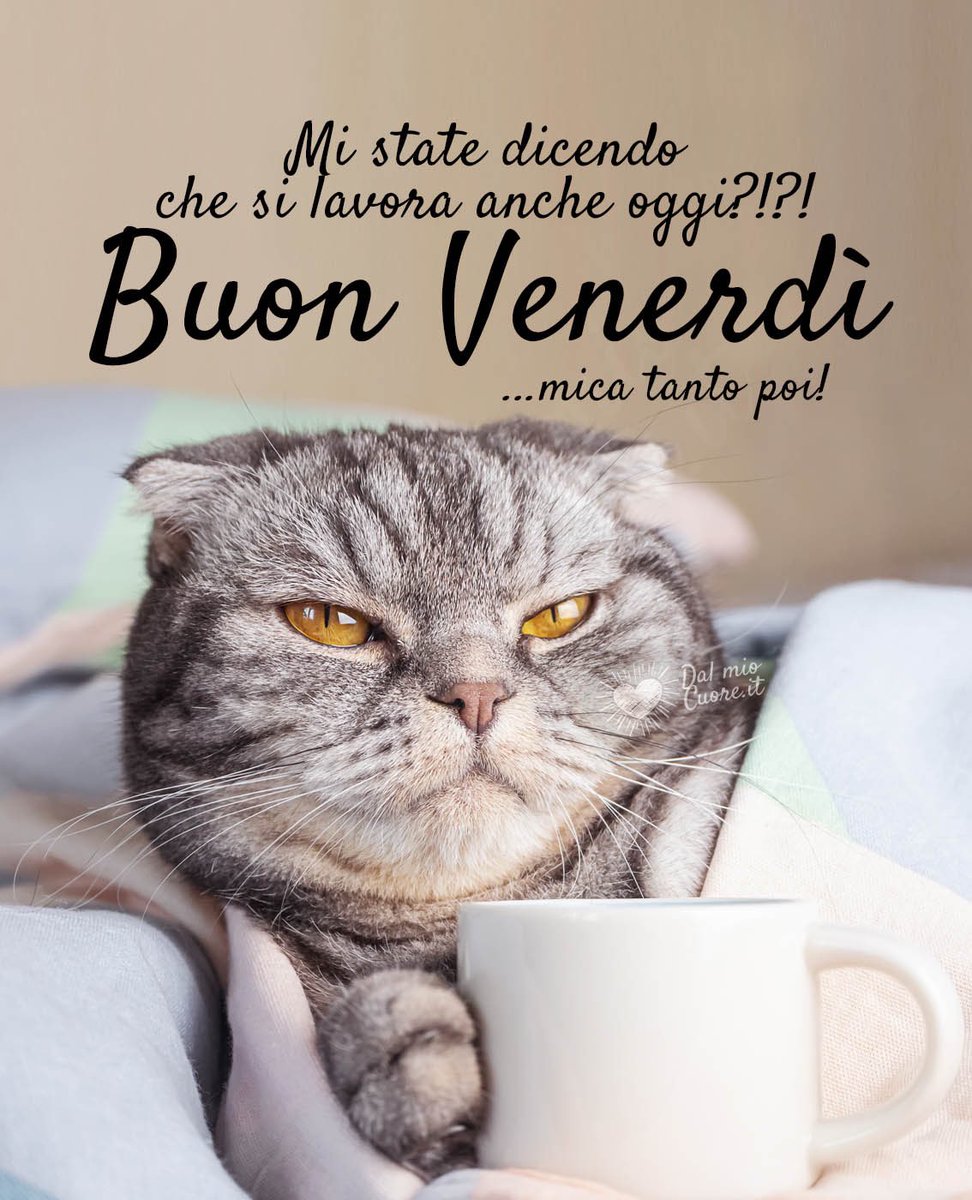 BUONGIORNO A TUTTI ☕️☕️☕️🤗🌺🩷🌸🩵🍀💪😅😘🌹👏🎵🎈😍🙏