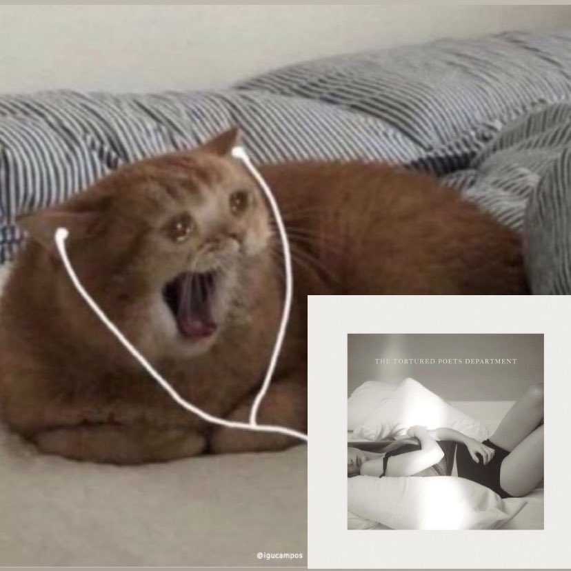 sabrguillen's tweet photo. PRA QUEM FALAR QUE ESSE ÁLBUM É RUIM TEM QUE TER MUITA CORAGEM PQ É O ÁLBUM DA CARREIRA DA TAYLOR MEU DEUS EU TO EMOCIONADA AQUI QUE ÁLBUM DO CARALHO #TSTTPD https://t.co/1IwyVR5hMl