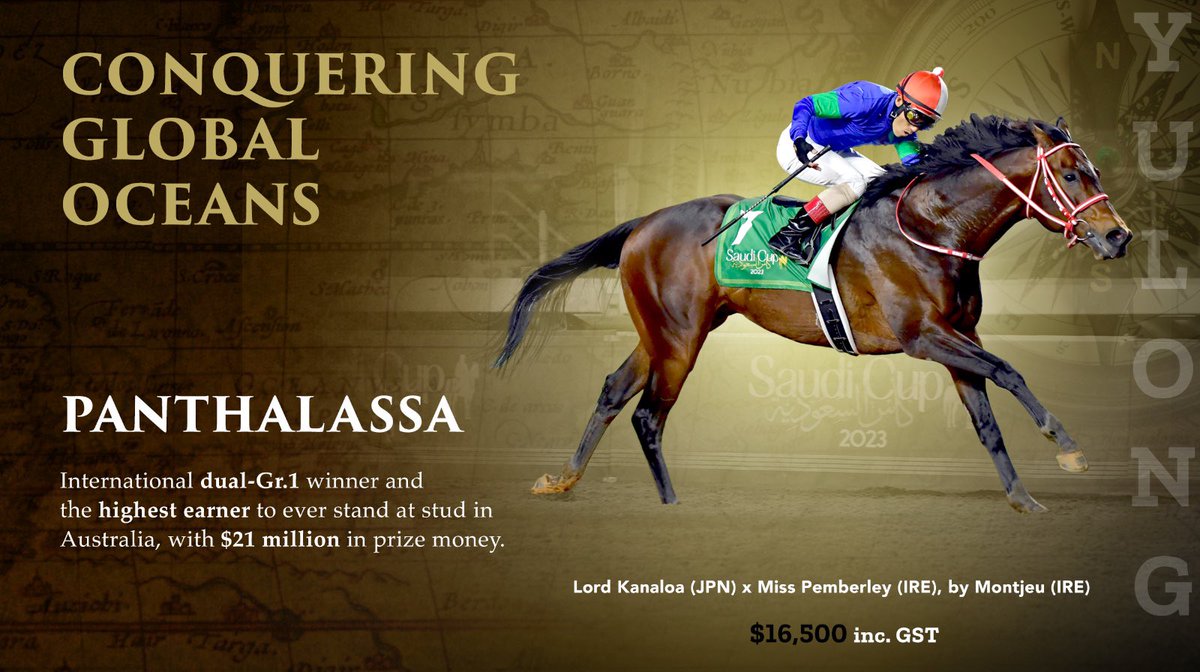 ⚜️ International dual G1-winning sire #Panthalassa is the highest earning horse to ever stand in Australia. At the pinnacle of his career, he won the G1 Dubai Turf against a stellar field of five G1 winners. Read more: yulonginvest.com.au/stallions/pant… #aworldofopportunity