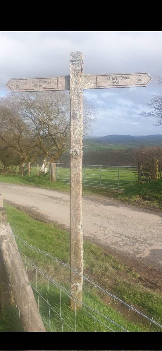 Where #OffasDyke crosses the #ShropshireWay English/Welsh border. This #fingerpostfriday wishes you all a good weekend.