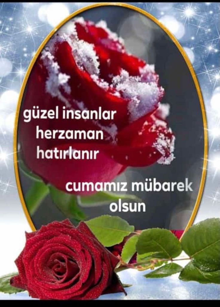 Cumanız mübarek olsun tam sigorta hakkımız Çaresi Yok Usta #GaribinEvlatlarıÇıraklarKazanacak