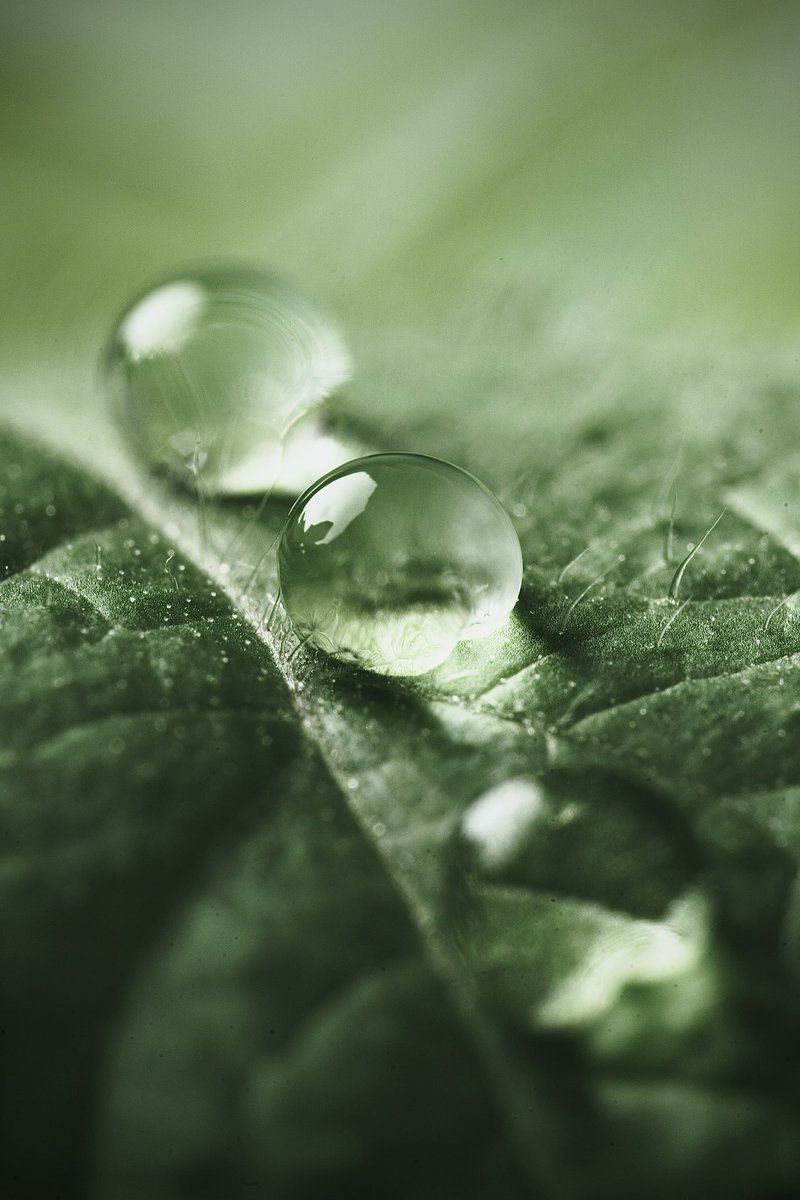 Share your photos water below! 💧 🌧️