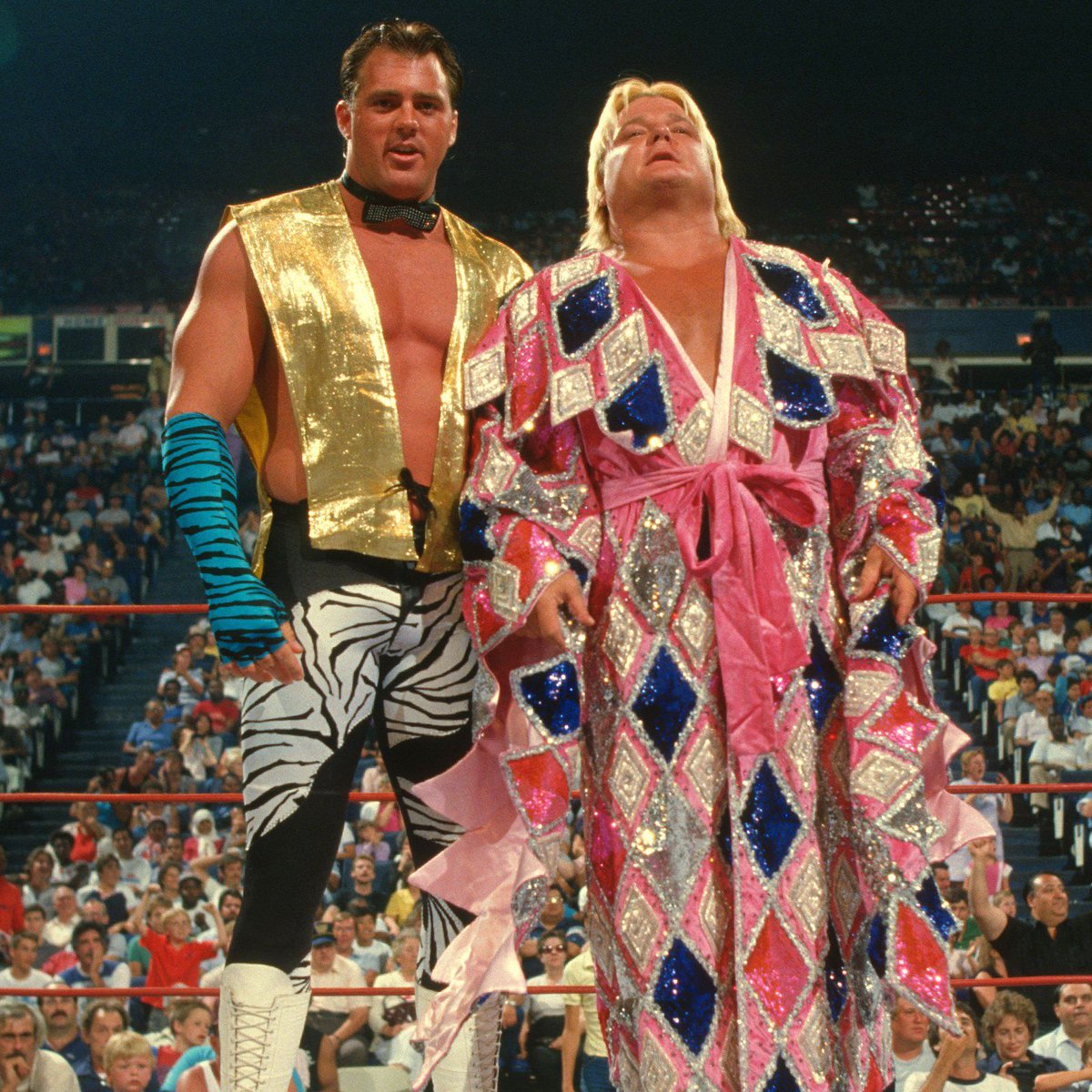 The Dream Team! #WWF #WWE #Wrestling #BrutusBeefcake #GregValentine
