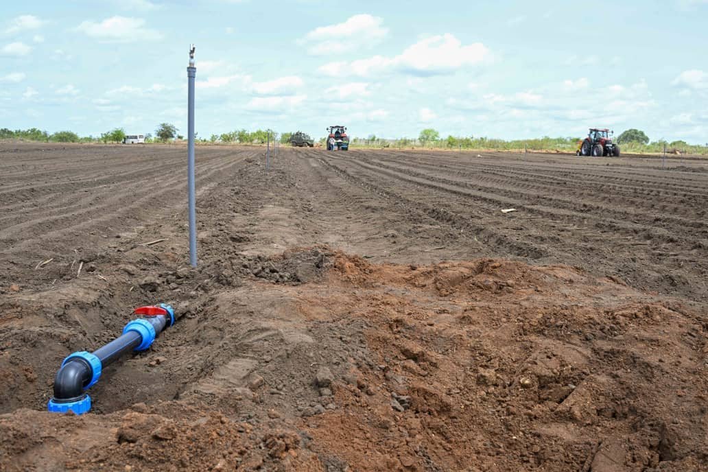 President Museveni advised smallholders farmers to adopt the four-acre model type of farming instead of growing crops like sugarcane and cotton, if they want to make more money.