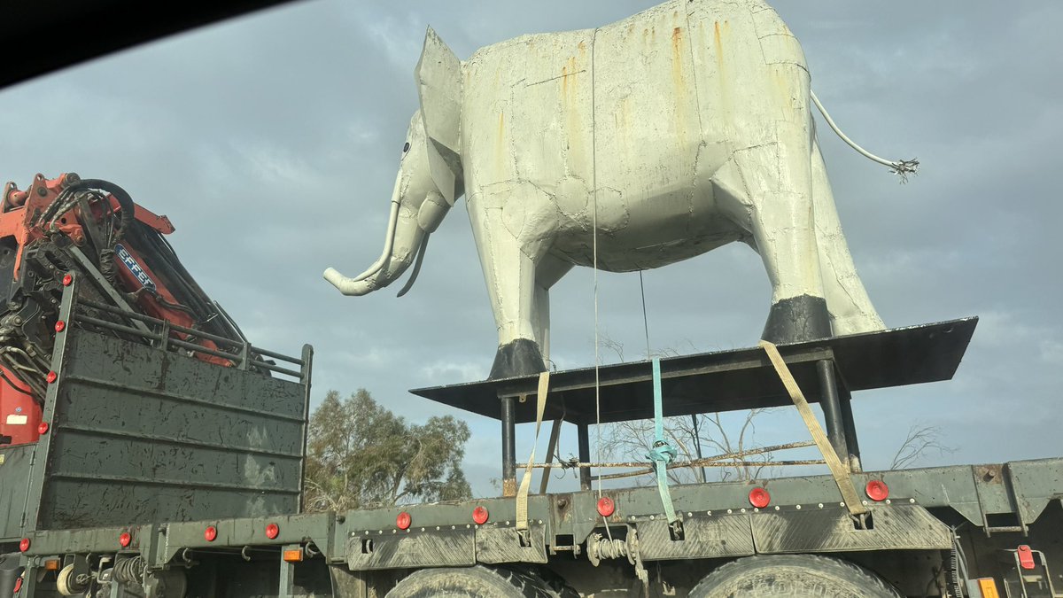 הדוב פדינגטון tweet media