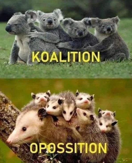 hochalicious's tweet photo. Know the difference https://t.co/07hepDQuC0