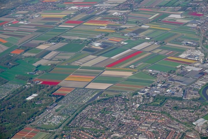 …one last thing.. ……friends visiting in The Netherlands took this picture as their plane took off. The colorful patches are tulip fields …..🥰😌🥰