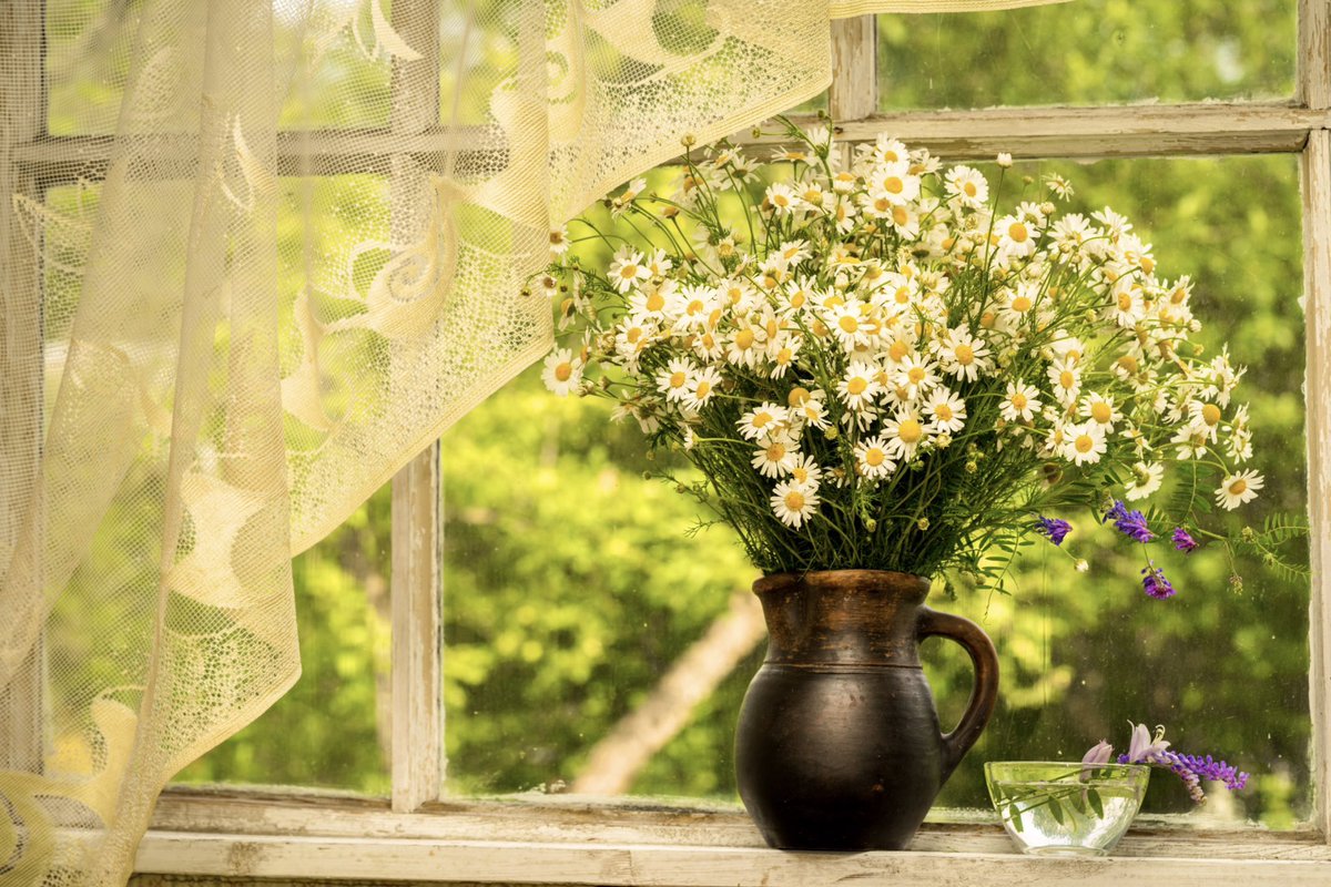 “Spring came in softly through his open window; it whispered to him tales of green hedges and misty woods and close-cropped rolling grass.” ~A.A.Milne #spring #nature