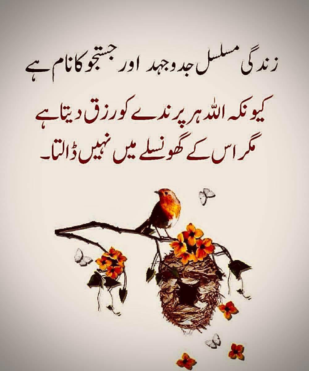 پرہموشن لسٹ۔۔۔۔
اگلی لسٹ میں شامل ہونے کیلئے ریپوسٹ کریں اور اپنا ہینڈل مینشن  کریں  ڈن بھی لکھے

<a href="/ZafarullahKak14/">Zafar ullah Kakar</a> 

<a href="/Arfeen69/">Arfeen Nasir</a> 

@siyasikhichrii 

<a href="/me_Sana07/">Sana Asif🌺</a> 

<a href="/XajidAli1122/">Xajid Ali</a> 

<a href="/qayoum07/">Abdul Qayoum</a> 

<a href="/kzadi3131/">Khan Balouch</a> 

@RoyRoy97856 

<a href="/BhaiJaazi787/">Hassan Iqbal</a> 

<a href="/shahidabbashaid/">shahid abbas haidery</a>