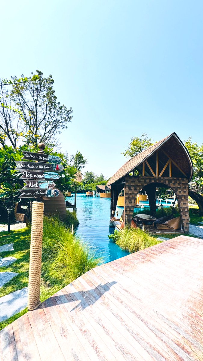 oldram3n's tweet photo. TikTok made me come here. 

#bubbleintheforest https://t.co/GeMW2iqHhp