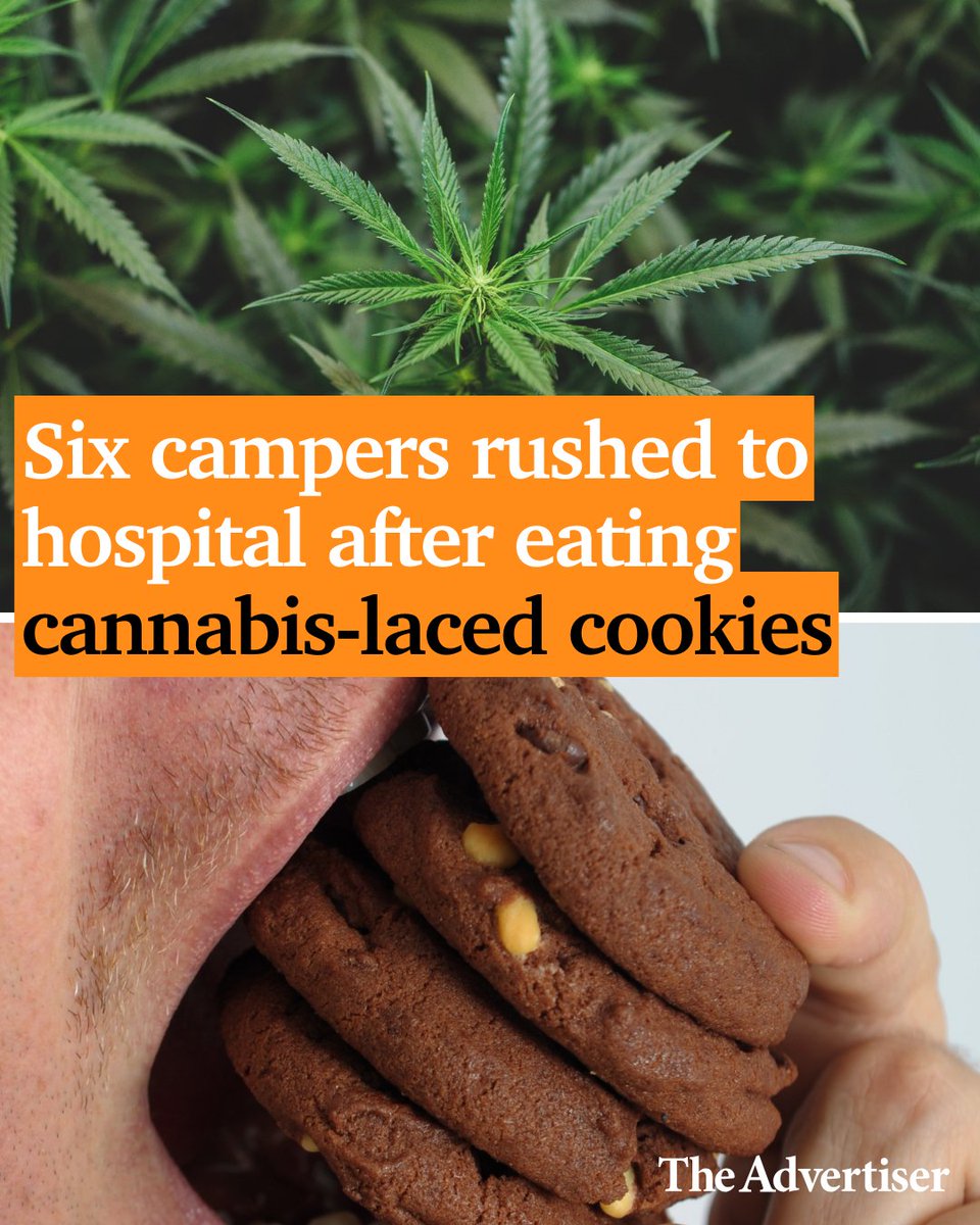 Six campers have been rushed to hospital after ingesting a stash of cookies believed to be laced with cannabis in the state’s South East. Read more: bit.ly/49YDkr7 #TheAdvertiser