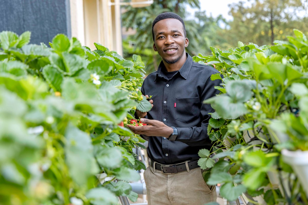 jcniyomugabo's tweet image. WHY YOU SHOULD CONSIDER VERTICAL FARMING IN AFRICA?  

Illegal thread👇🏼