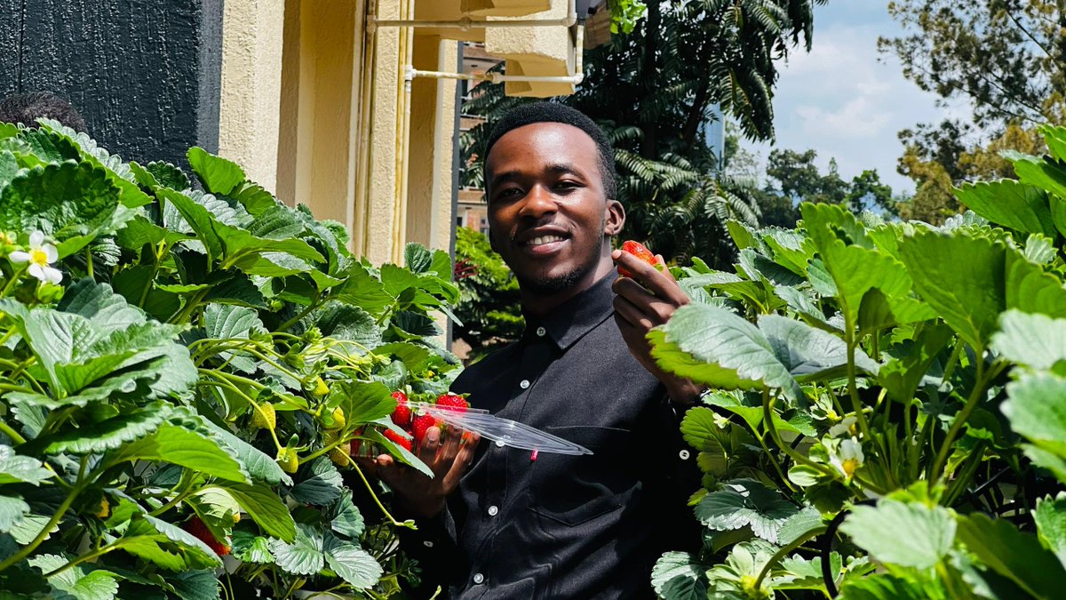 jcniyomugabo's tweet image. WHY YOU SHOULD CONSIDER VERTICAL FARMING IN AFRICA?  

Illegal thread👇🏼