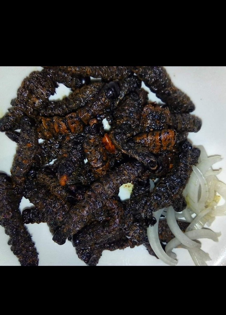 Chilli mopani worms... (Madora/amacimbi/pigeon moth) #mopaniworms #madora #pigeonmoth #whatieat #fypシ #privatechef #culinary #privatedining #privatecheflife #chefrumbie #scoffmaster