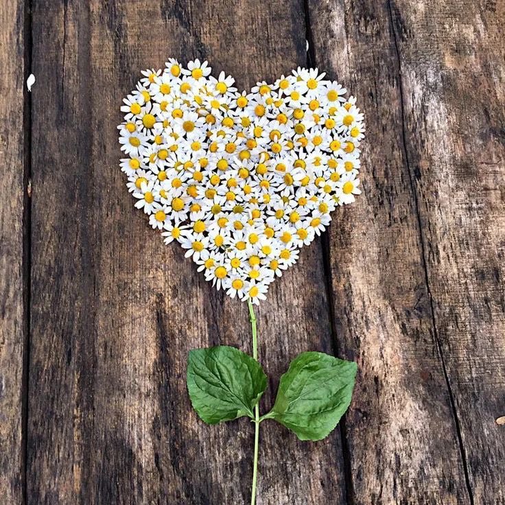 🌼🦋
GünAydınlar☀️
Güzel olan herşey bizimle olsun
Hayırlı sabahlar☕️
Hayırlı Cumalar
NasipAşkla🤍🩵