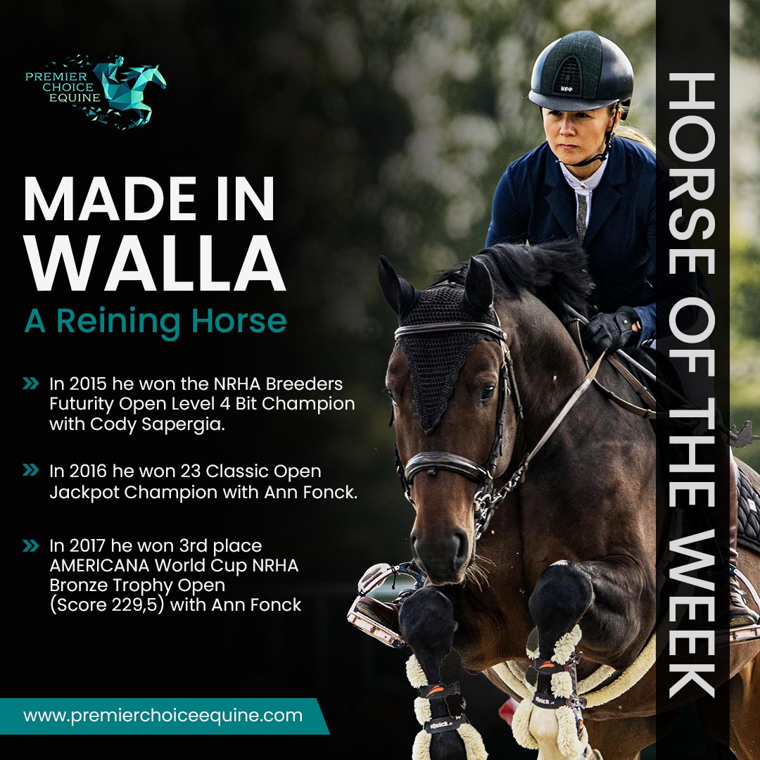 Meet MADE IN WALLA: A reining star! 🏆 From NRHA Breeders Futurity wins to the AMERICANA World Cup, his journey is pure triumph. 🌟🐴

#MADEINWALLA 
#Reining
#Reiningworld
#equine
#equestrian
#EquestrianSport 
#EquineLove 
#truelegends