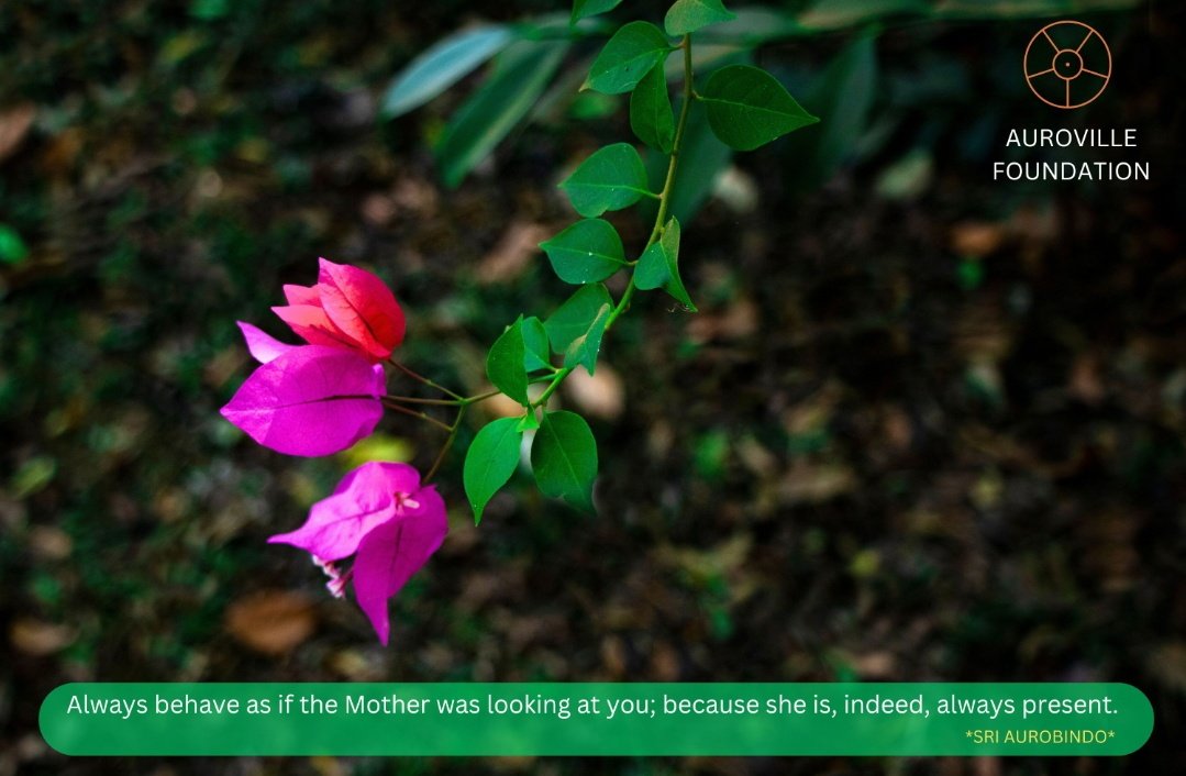 #Auroville #SriAurobindo #TheMother
