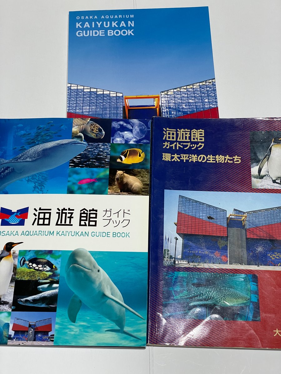 アナトリエ＠適当 (@PnvaY3rkrFdL6Jo) / Posts / X