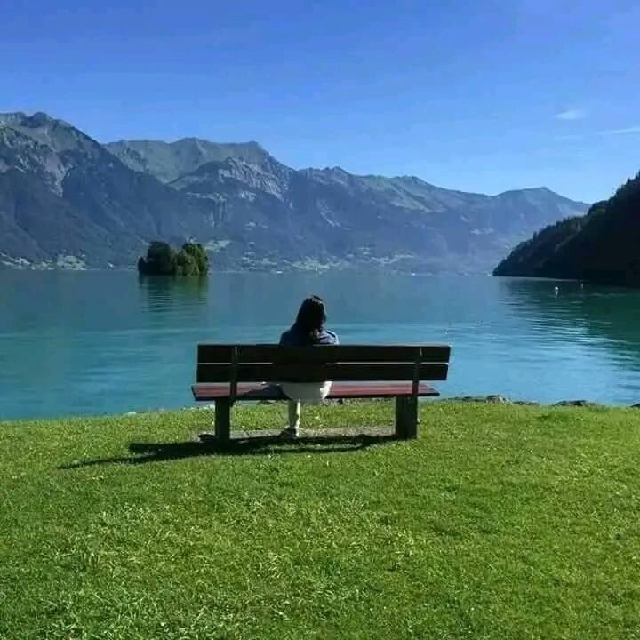 Beautiful morning ❤️