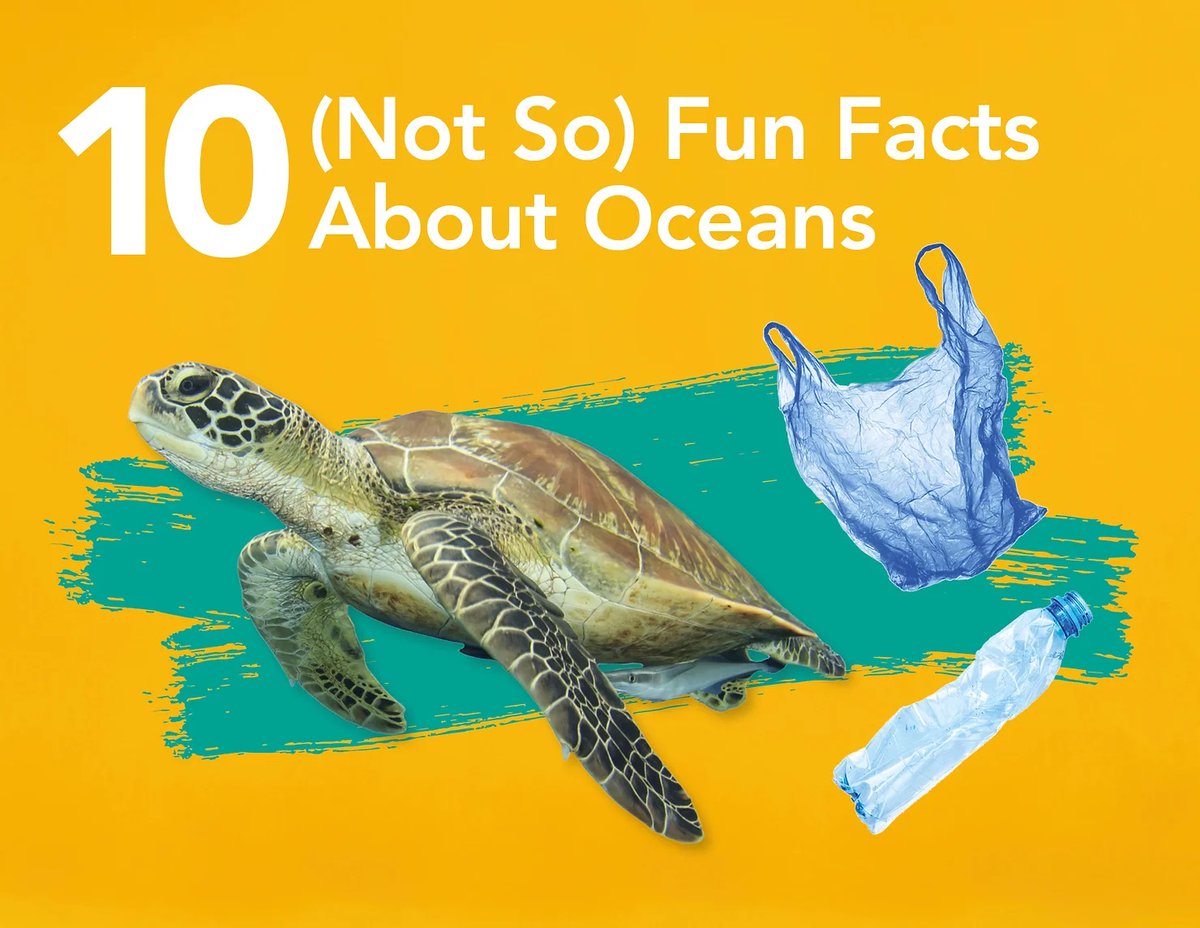 It's part 2 of our Ocean Blog series! This time, we're discussing some of our not so fun facts about the Ocean! These facts are so important to understanding why the Ocean is worth caring about. Check it out on our website!