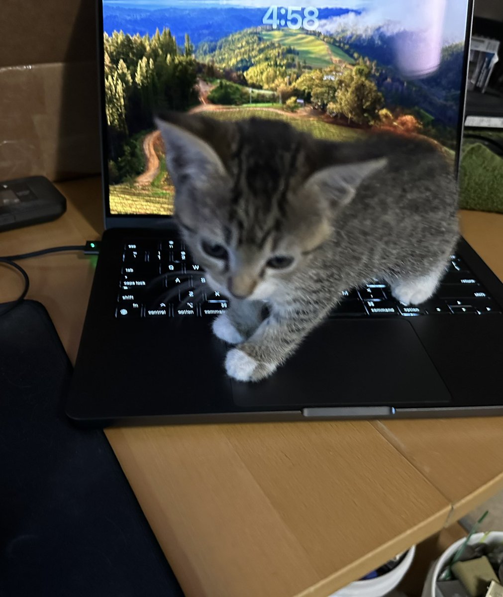 🚨 Hacking in progress 🚨