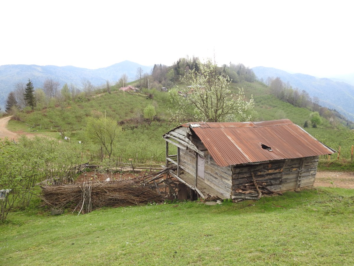 #Günaydın Hayırlı Sabahlar Hayırlı Cumalar
Rabbim İşinizi Gücünüzü Rast Getirsin
#ordu #mesudiye #akpınarmahallesi