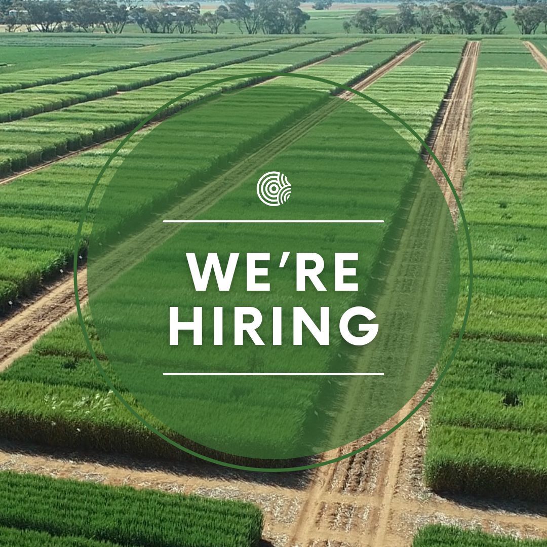 We're looking for an effective communicator to join our team, as the main point of contact for stakeholders to interact with BCG and the North West Node of the Victoria Drought Resilience and Innovation Hub. 🔗 Read more and apply: buff.ly/3U6C4vN