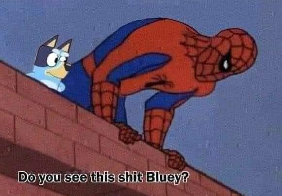 montypuffs's tweet image. 