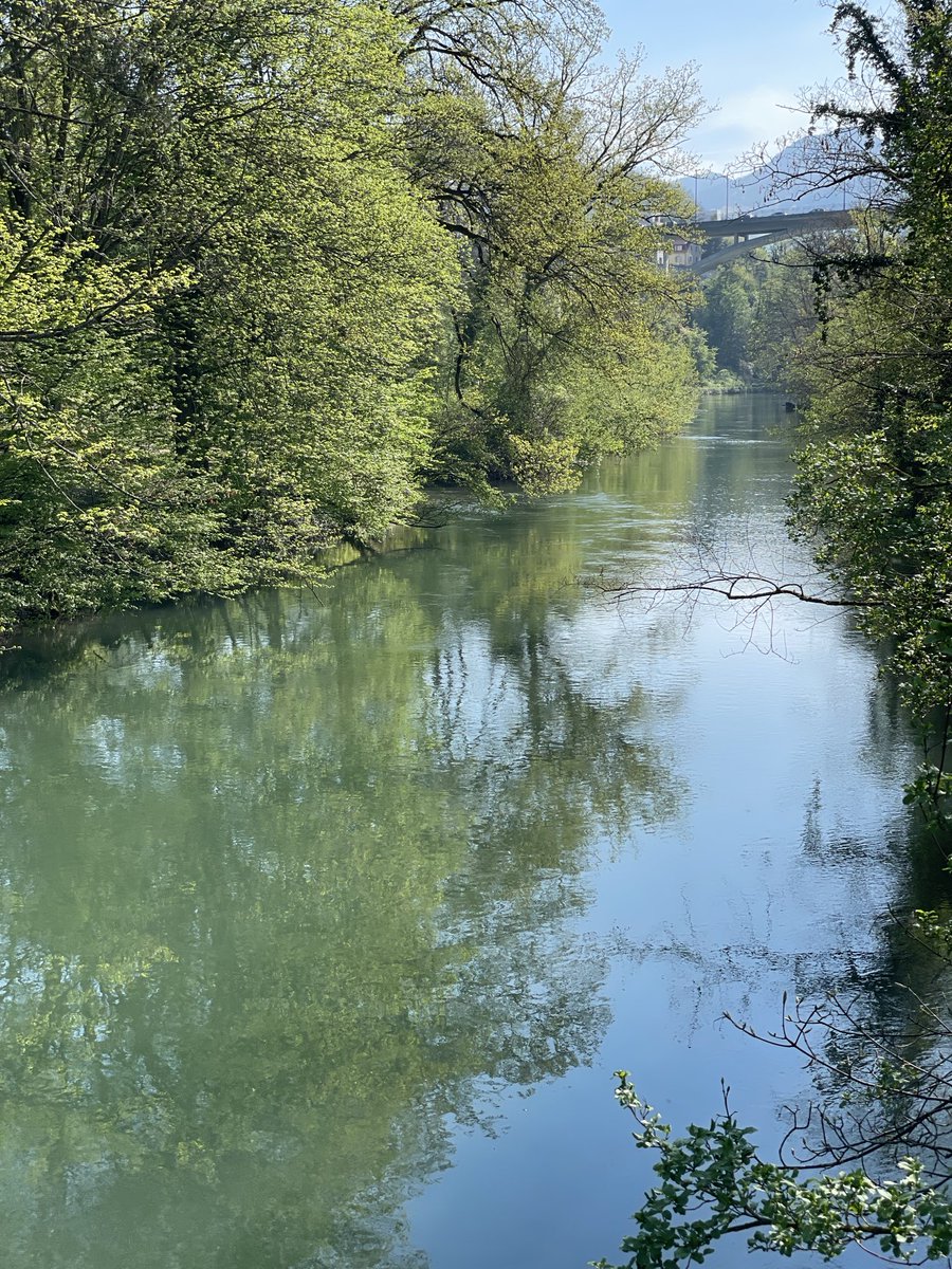 Ich wünsche euch einen schönen Freitag 💫🍀☀️