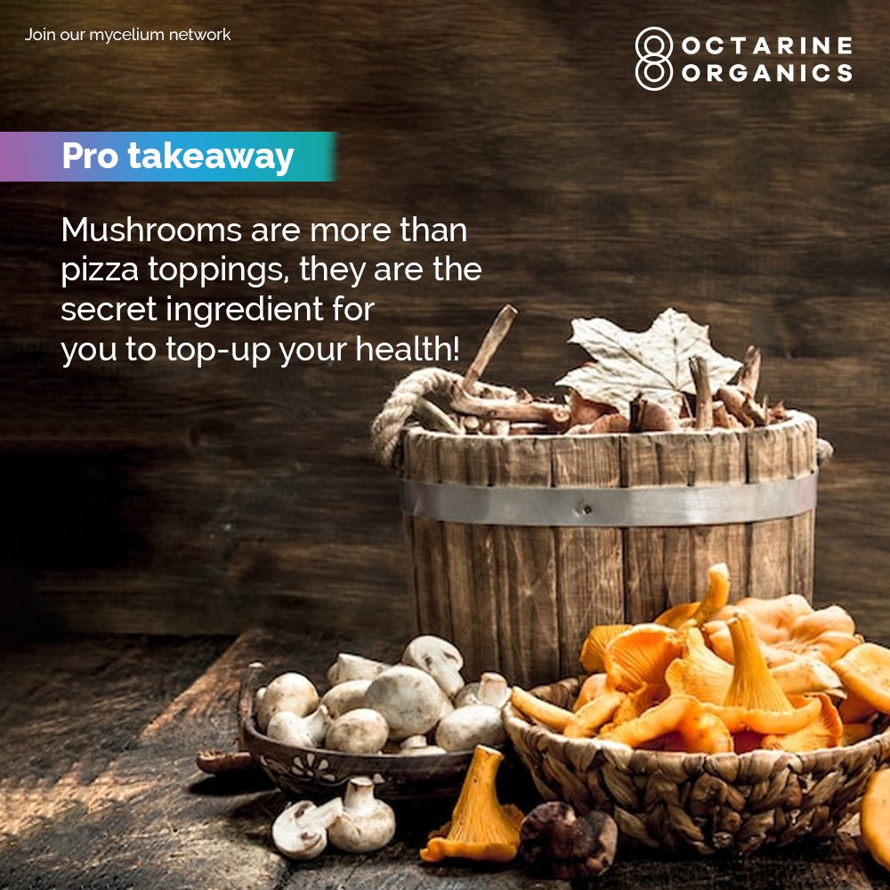 Mushrooms are absolutely LOADED with benefits for your liver. Start off by integrating this magical superfood into your diet today!

#WorldLiverDay #Liver #Health #Benefits #Energy #Sports #OctarineOrganics #OO #Mushrooms #Cordyceps #Wellness