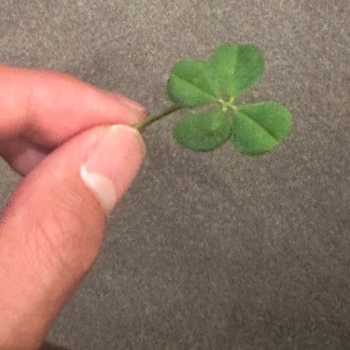 blvelotus's tweet photo. taehyung and wooshik’s posts, boyoung talking about it and also showing clovers and they’re both gonna be on the new drama “melomovie” this will keep me up at night for the next couple of days https://t.co/jXBn8e91pk
