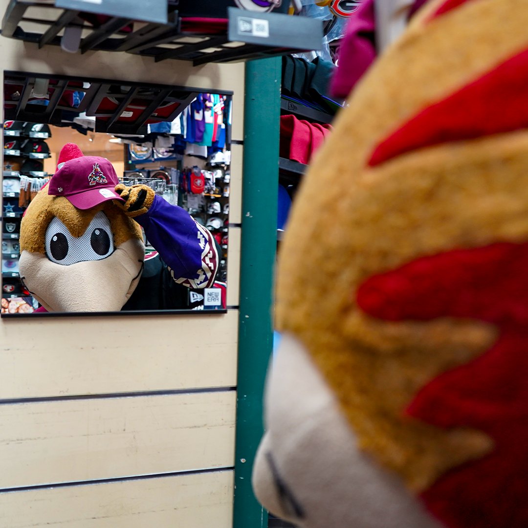 Stocked up on merch and ready for The Whiteout 🤌 🌵 Whiteout Tour stop #3 @JustSportsAZ and Dusty found @howlercoyote & @dbacksbaxter 😎 @dusty16ahl | #LetsGoTucson