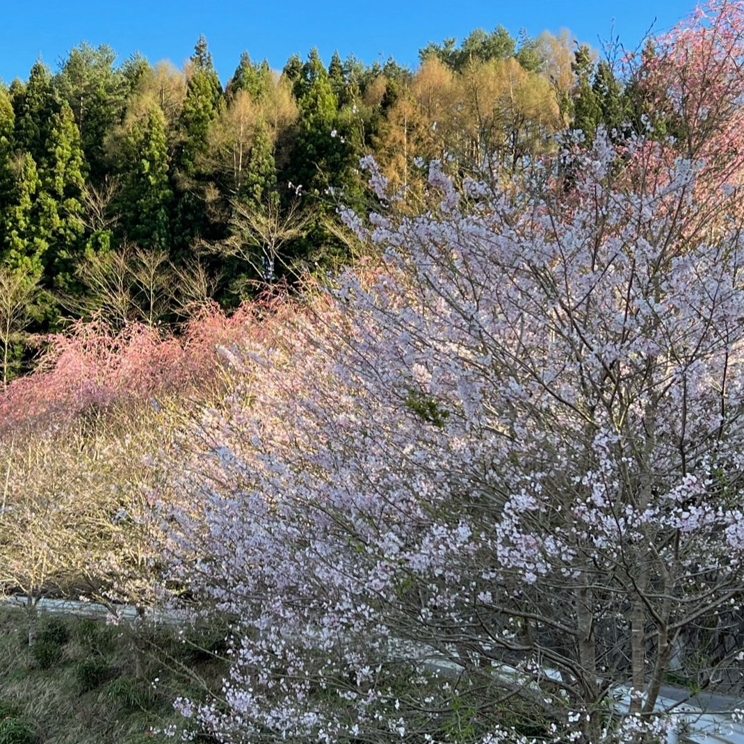 風が強い…=͟͟͞͞=͟͟͞͞( ¯−︎¯ )
金曜日はフォロワーが増えると聞きまして
((o(*ºωº*)o))ゎ‹ゎ‹

#群馬県
#東吾妻町
#川場村
#温泉旅館
#企業公式つぶやき部