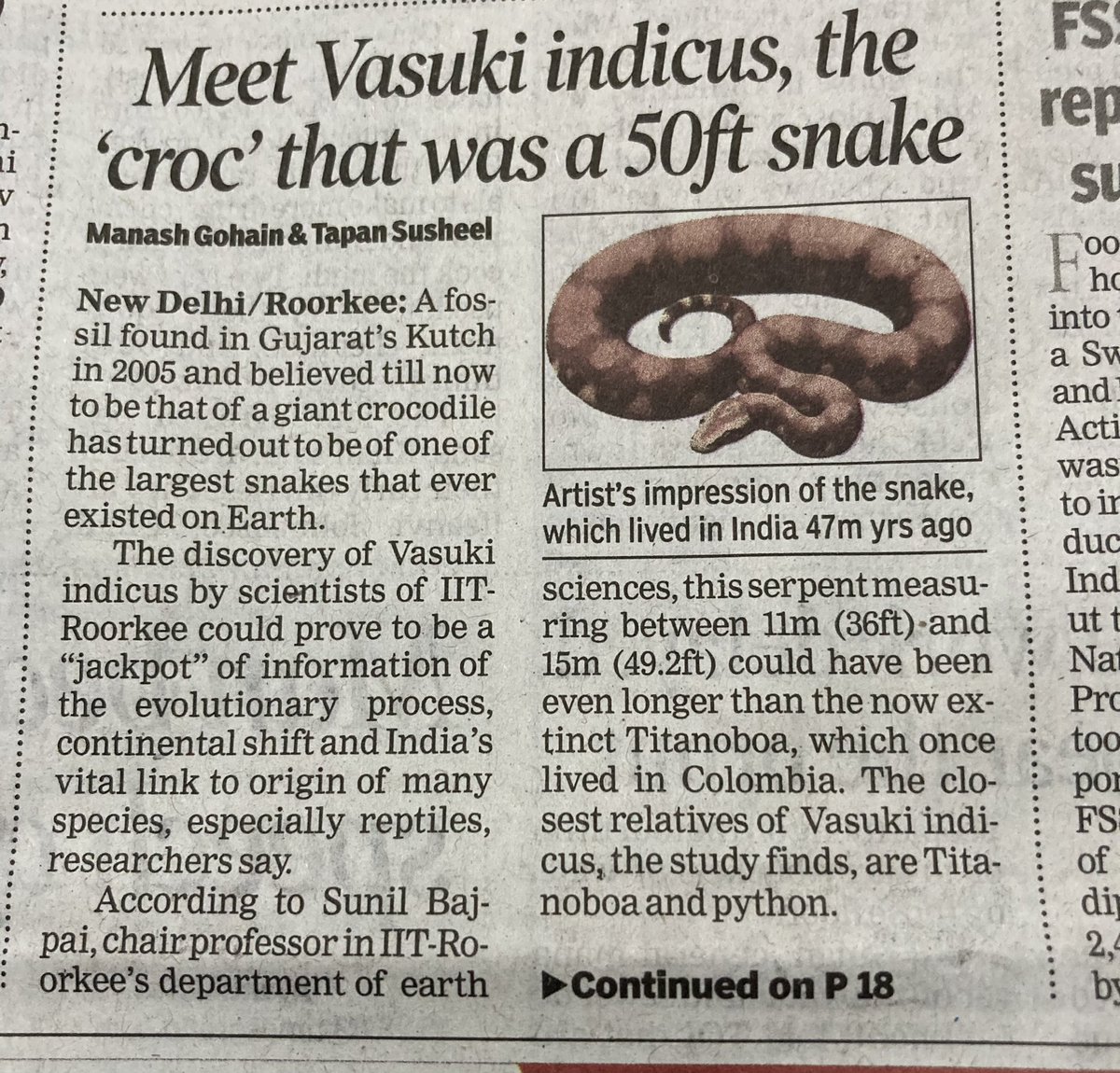 Meet Vasuki indicus, a 50 ft snake!! Fossil discovered by scientists of @iitroorkee could prove to be a jackpot of information about India’s link to the origin of many species, especially reptiles. (TOI)