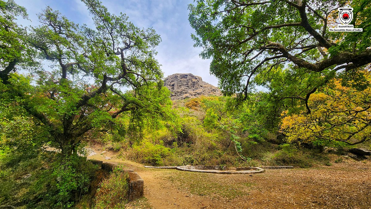 Experience the peaceful ambience and fresh mountain air, making Mount Abu the perfect escape for nature lovers and those seeking serenity.

 #explorerajasthan #travelrajasthan #rajasthantourism #rajasthan

(3/3)