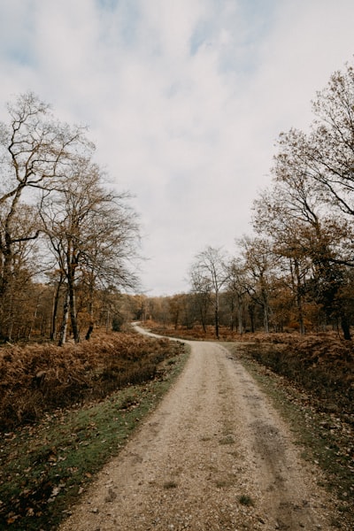 Photo By Annie Spratt | Unsplash 
 #roadtransport #roadsafety #'roadsafety' #gravelbike #roadcycling